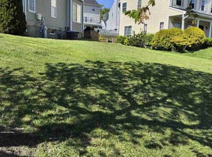 Mark P.'s Yard Cutting service result