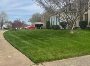 Aaron M.'s Lawn Mowing Service service result