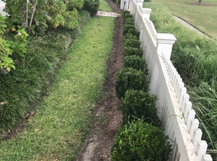 Bush Trimming by Darius Budgewater for Joshua F. in Baton Rouge, LA
