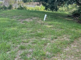 Landscaping by Lloyd Martin for Lurece G. in Davenport, FL