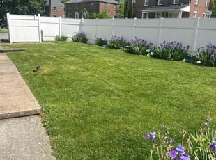 Megan B.'s Lawn Mowing service result