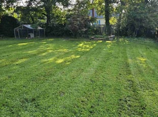 Harley G.'s Lawn Care service result
