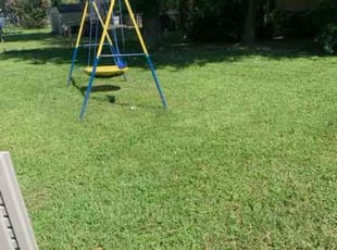 Shalon P.'s Lawn Mowing service result