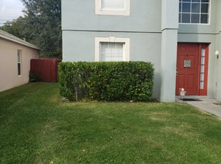Bush Trimming by Tyler Buschbom for Jennifer L. in Orlando, FL