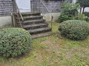 Bush Trimming by Jovani Da silva for William p. in Somerset, MA