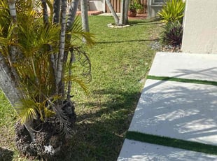 Cheree P.'s Lawn Service service result