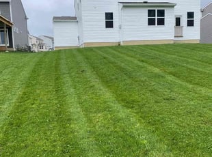 Rebecca K.'s Lawn Maintenance service result