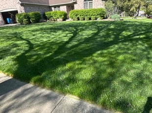 David A.'s Yard Cutting service result