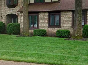 Jessica w.'s Grass Cutting service result