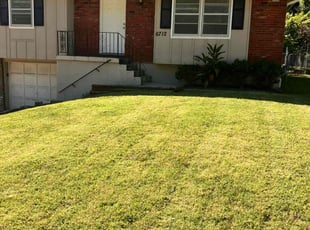 Michael R.'s Lawn Care service result