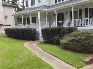Bush Trimming by Hugo lopez for Keith G. in Marietta, GA