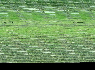 Stu L.'s Lawn Mowing service result