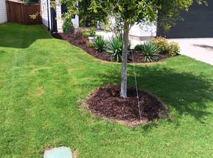 Charlene M.'s Yard Cutting service result