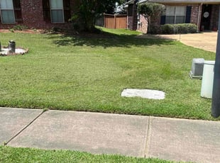 Uday G.'s Lawn Mowing service result