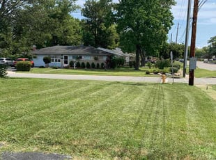 David T.'s Lawn Service service result