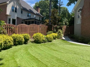 Marsha D.'s Lawn Mowing service result