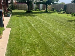 Katrina H.'s Yard Cutting service result