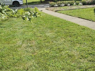 Victoria S.'s Lawn Mowing service result