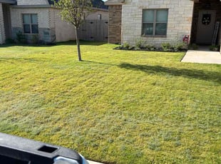 Emsy C.'s Lawn Mowing service result