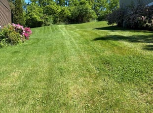 Charmaine A.'s Lawn Care service result