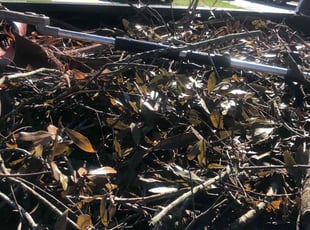 Cleanups by Alberto A for AJ J. in Tampa, FL