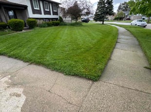 Steve M.'s Lawn Care service result