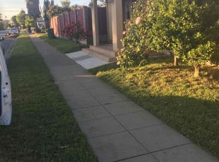 Stanley S.'s Lawn Care service result