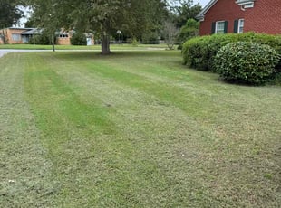 Tommy G.'s Lawn Service service result