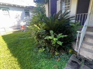 Bush Trimming by Peter Williams for Daunte D. in New Orleans, LA
