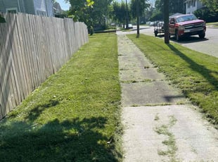 James E.'s Lawn Mowing Service service result