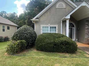 Kim G.'s Bush Trimming service result