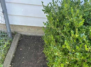 Weeding by Leroy Green II for Andrea J. in Columbus, OH