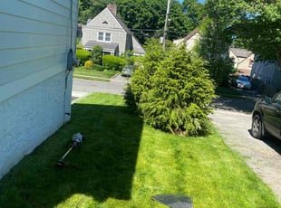 Cynthia S.'s Lawn Mowing service result