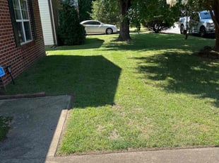 Zach W.'s Lawn Service service result
