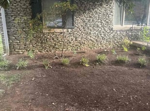 Leaf Removal by Tristan Spradlin for Sara K. in Lexington, KY