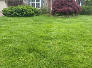 Angela B.'s Lawn Maintenance service result