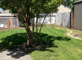 Amy V.'s Lawn Mowing service result