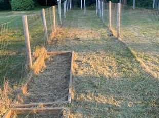 William P.'s Lawn Maintenance service result