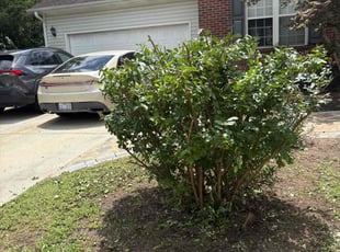 Cleanups by Jeremiah Tredway for Reece H. in Raeford, NC