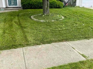 Eric C.'s Lawn Service service result