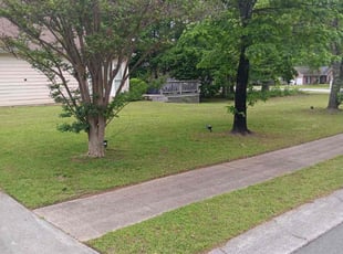 Payton B.'s Lawn Maintenance service result