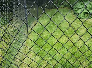 Eddie T.'s Lawn Mowing service result