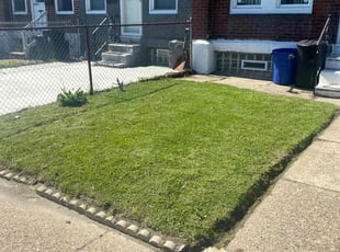 Yolanda E.'s Lawn Mowing service result