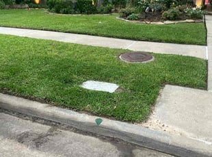 Lloyd K.'s Lawn Mowing service result