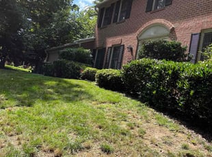 Bush Trimming by Alesandre Duarte for Karen W. in Reston, VA