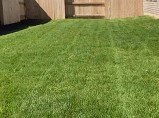 Shelly S.'s Lawn Mowing service result