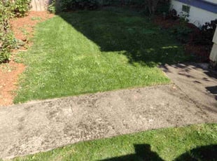 Shavar G.'s Grass Cutting service result