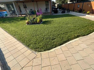 Steven H.'s Lawn Mowing Service service result