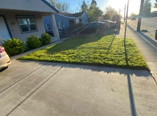 Seth S.'s Grass Cutting service result