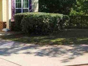 Bush Trimming by Willie P for Cameron S. in Decatur, GA